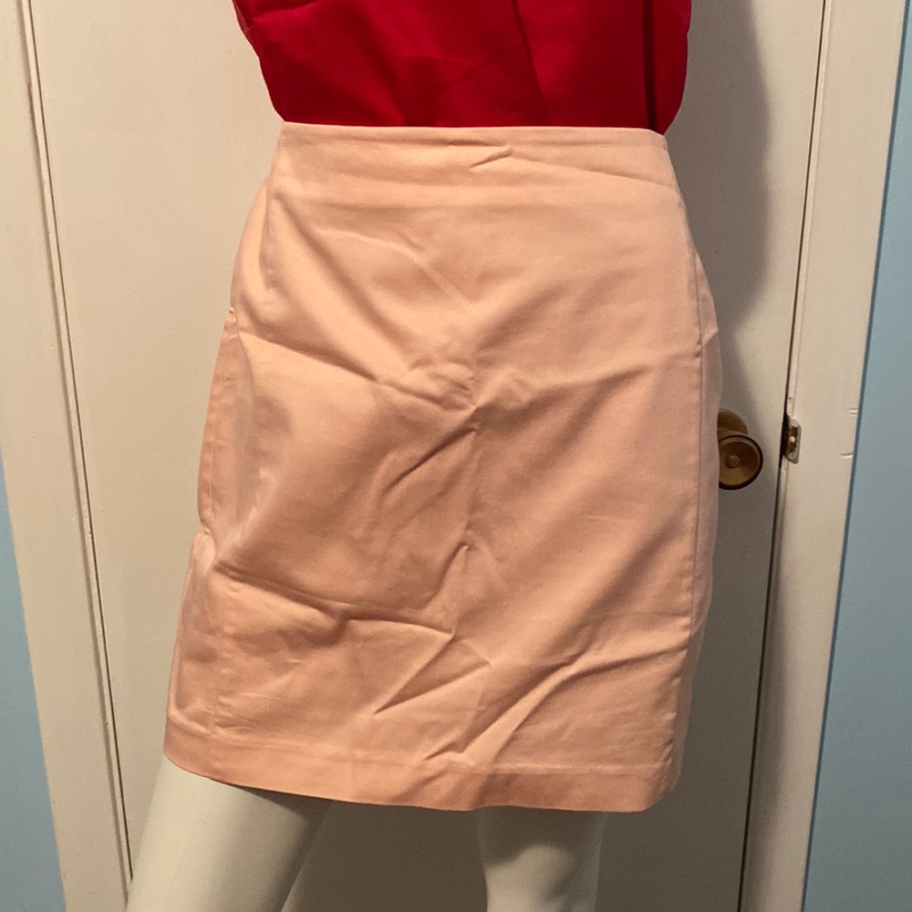 Pink Pencil Skirt with Lining
